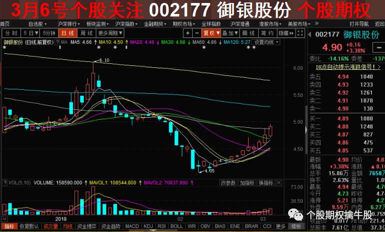 个股期权最新动态深度解析，市场影响与趋势展望