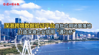 2024年香港开奖结果,实地应用验证数据_SE版95.518