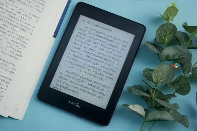 新澳资料正版免费资料,全面执行计划数据_Kindle52.455